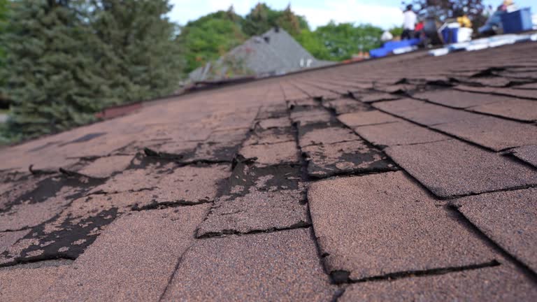 Roof Coating Services in Sully Square, VA