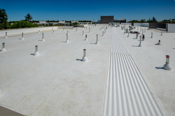 Best Roof Maintenance and Cleaning  in Sully Square, VA